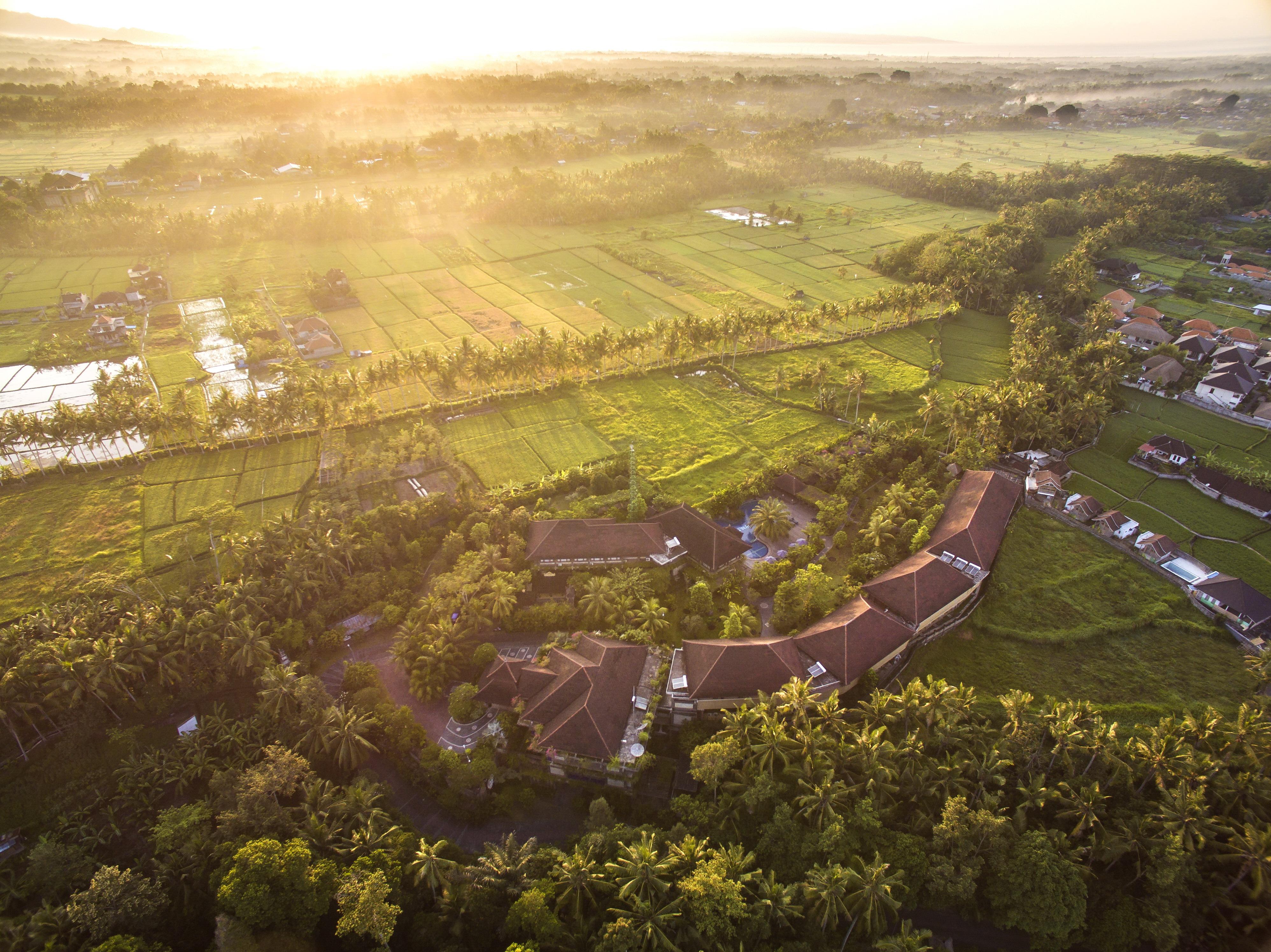 Bhuwana Ubud Hotel And Farming Exteriör bild