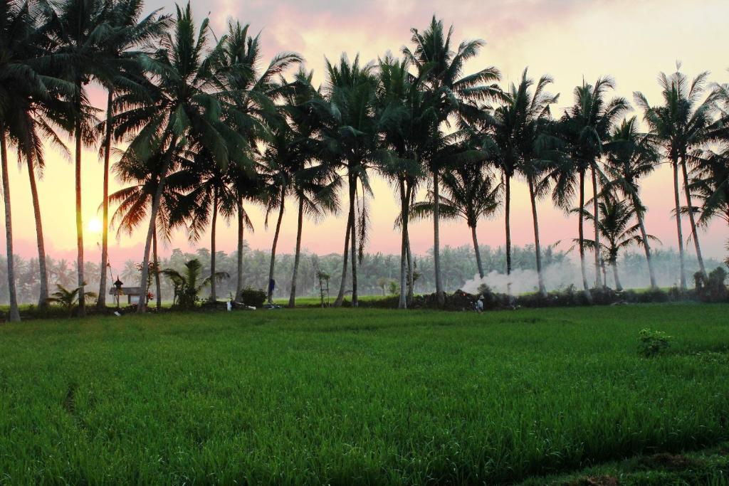 Bhuwana Ubud Hotel And Farming Exteriör bild