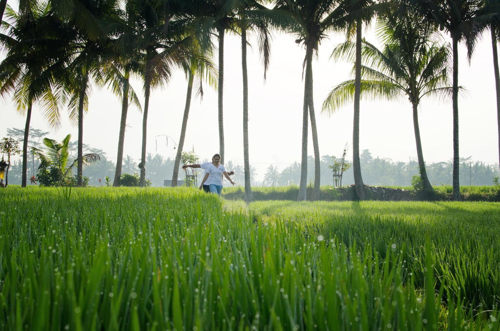 Bhuwana Ubud Hotel And Farming Exteriör bild